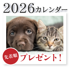 2026年カレンダープレゼント